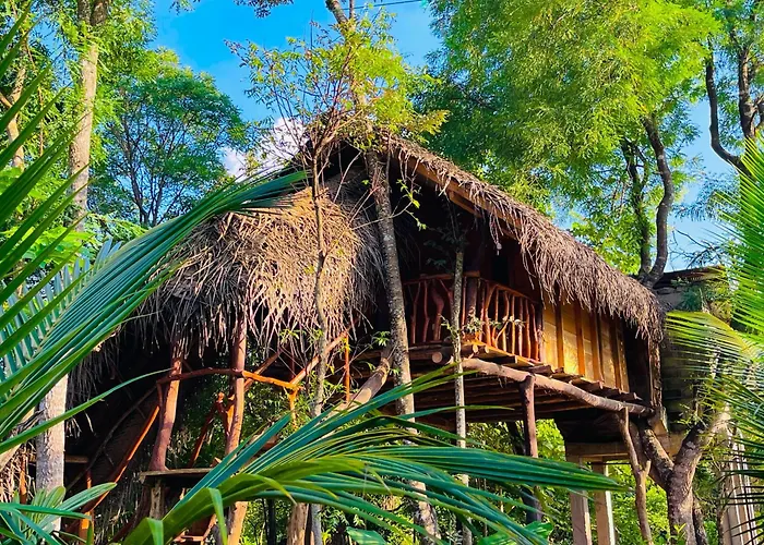 Green Land Tree House Sigiriya