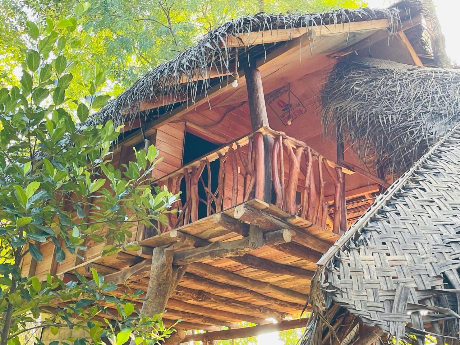 Land Tree House * Сигирия