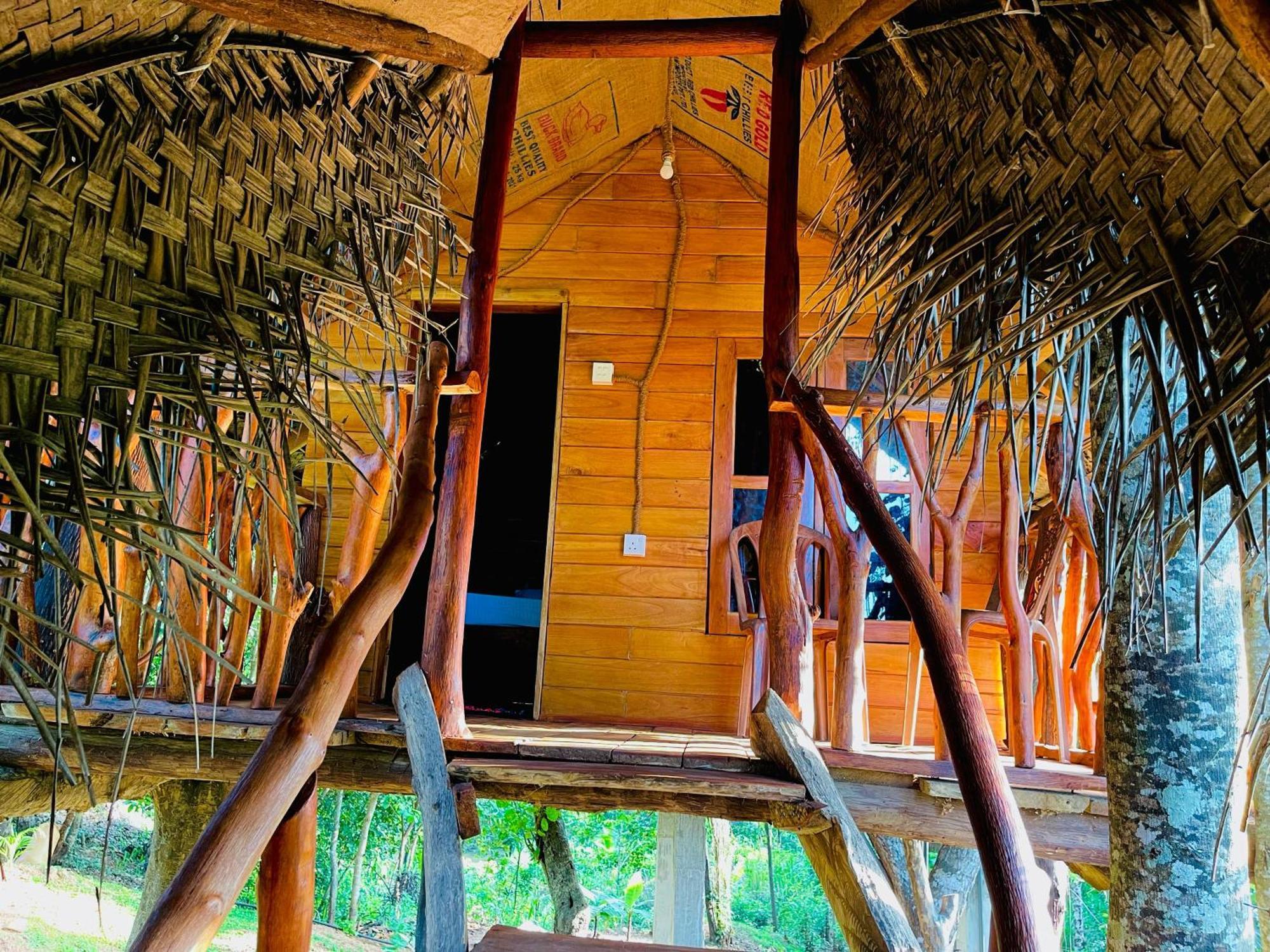 Land Tree House Деревянный коттедж Сигирия
