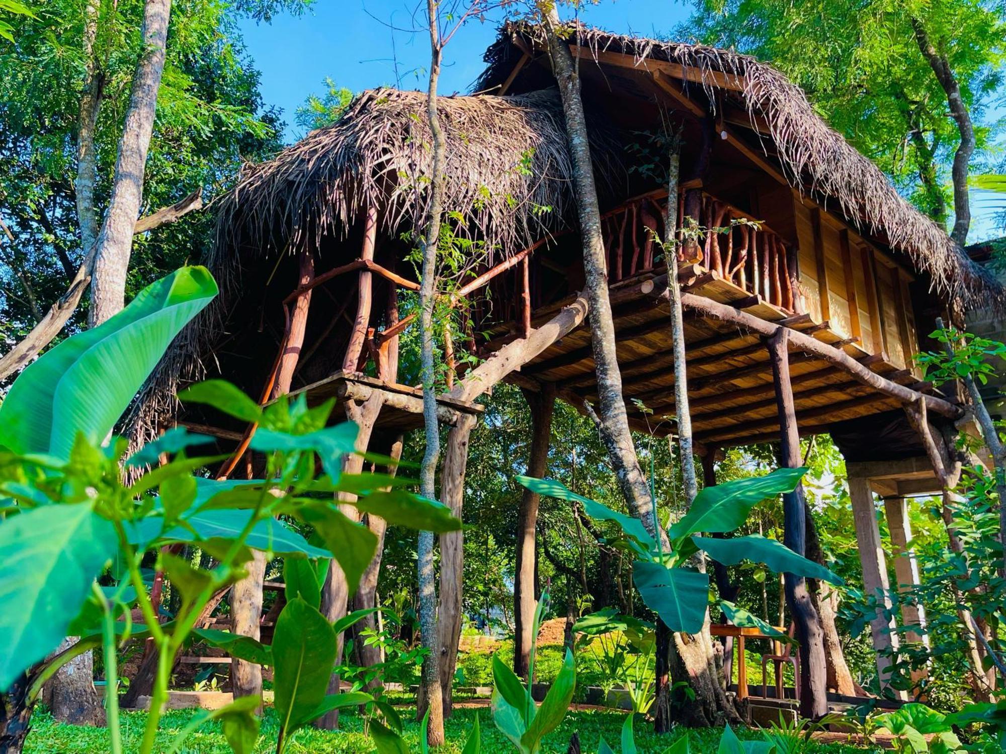 Деревянный коттедж Land Tree House Сигирия