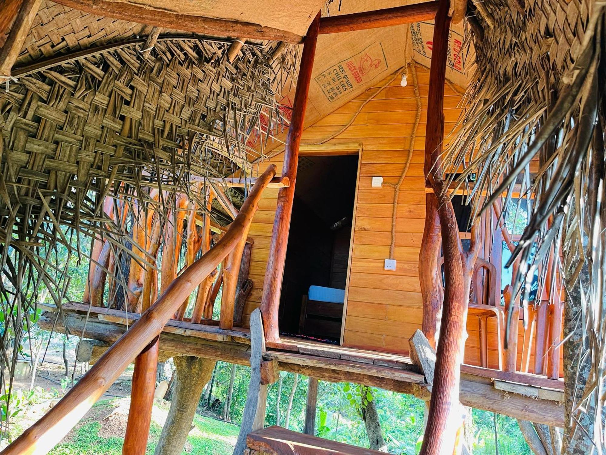 Land Tree House * Сигирия