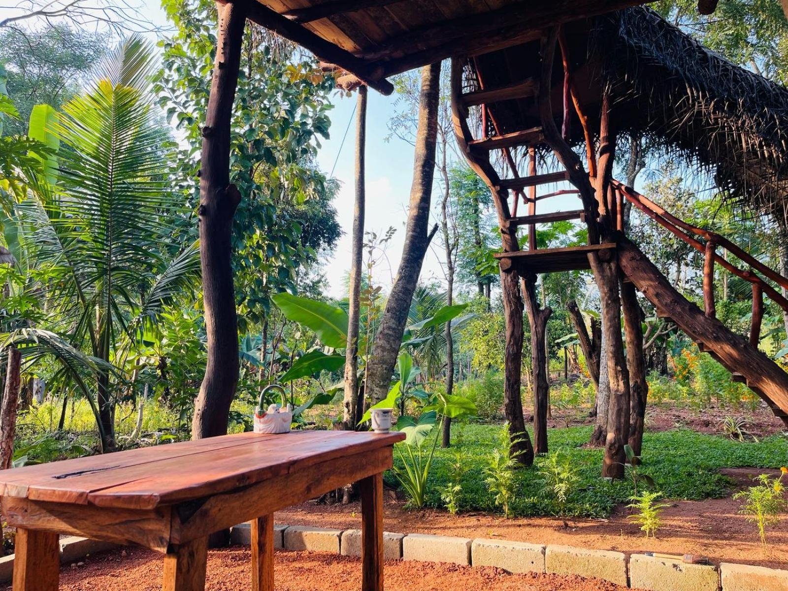 Деревянный коттедж Land Tree House