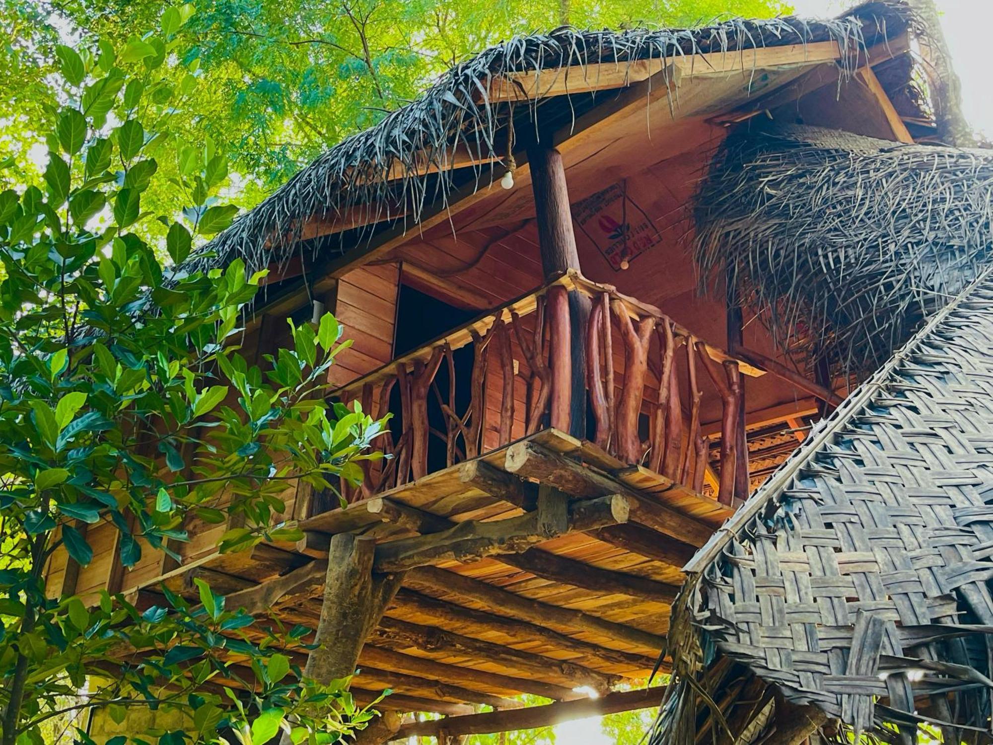 Деревянный коттедж Land Tree House