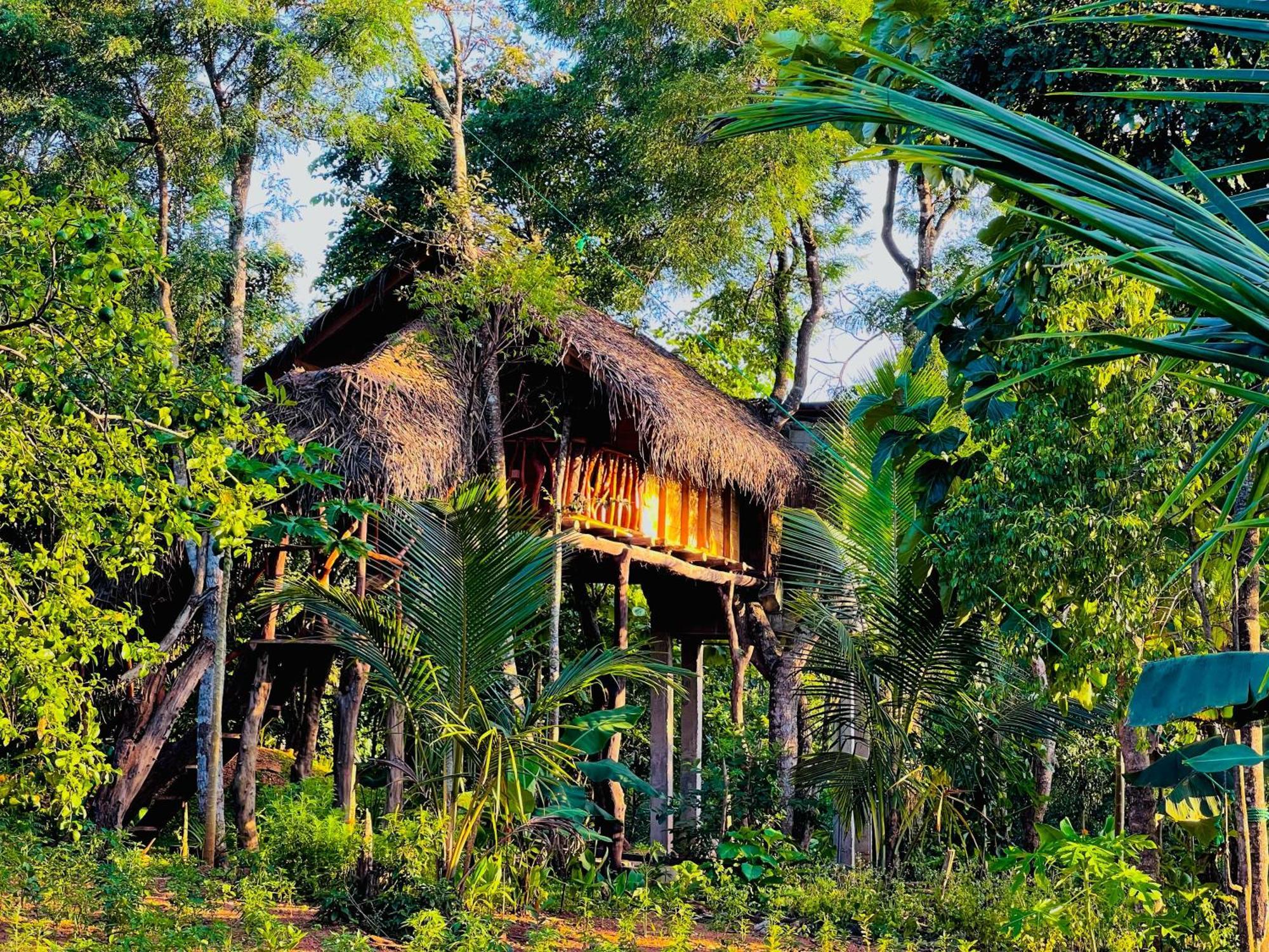 Land Tree House Деревянный коттедж *